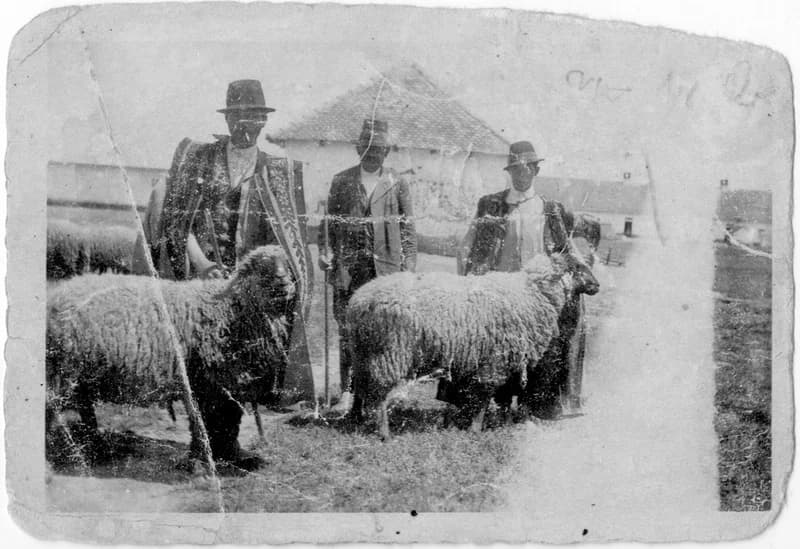 Ég a fekete cserepes